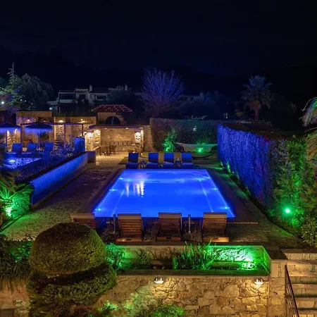 Palmrise Luxury Villas By Travel Pro Services - Nea Skioni Halkidiki Buitenkant foto
